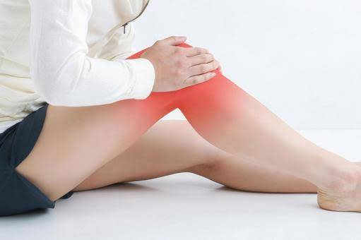 膝の痛みの真実:軟骨のすり減りではなく「腰椎」から治す新しいアプローチ
